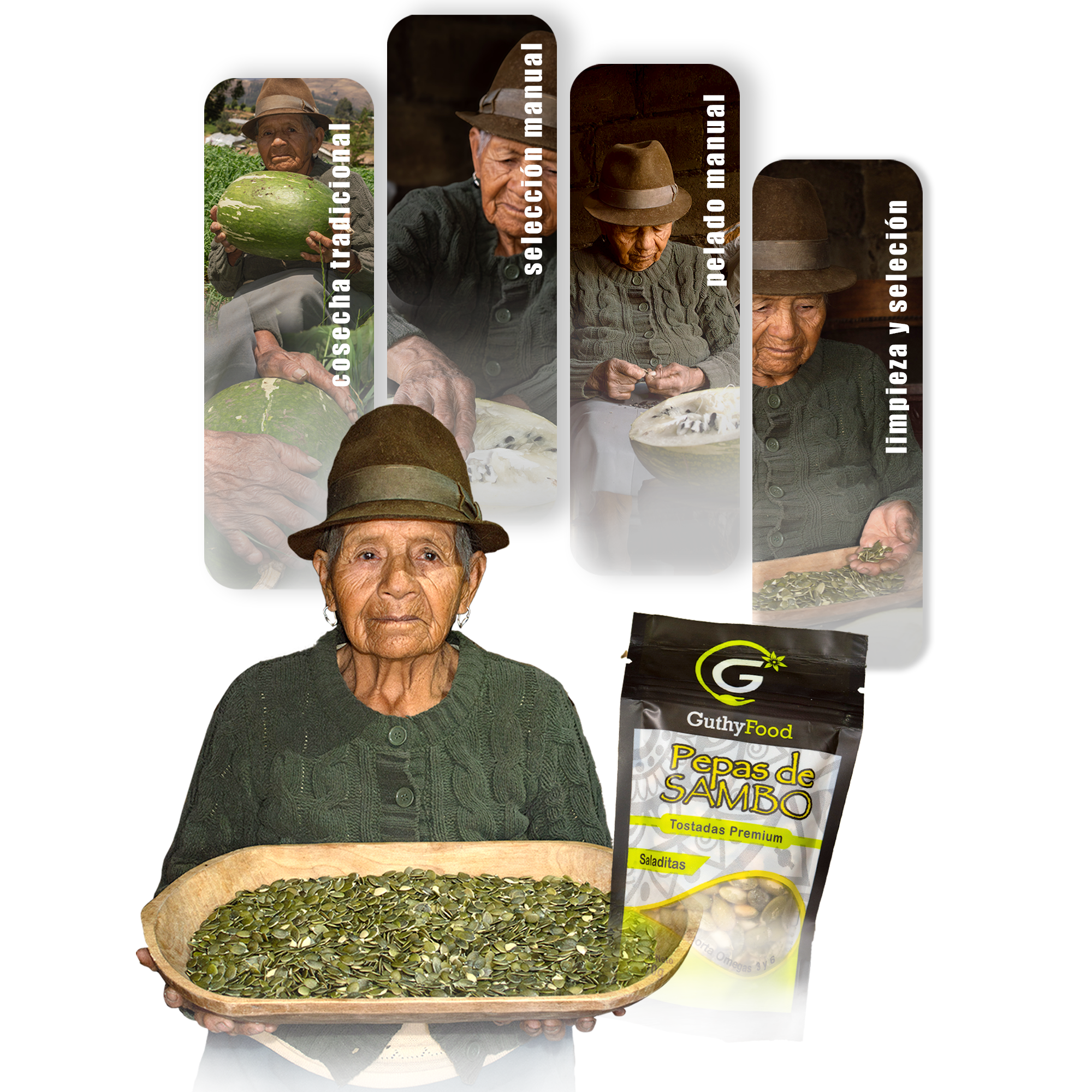 Familia productore de pepas de sambo